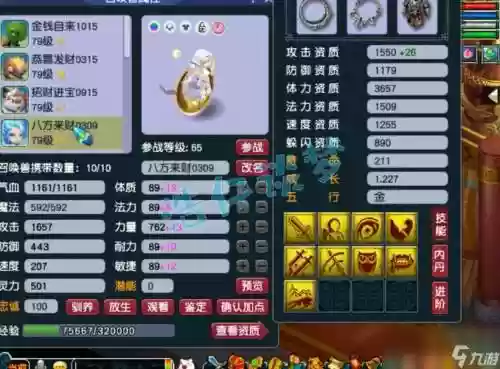 梦幻西游普陀69带什么套插图