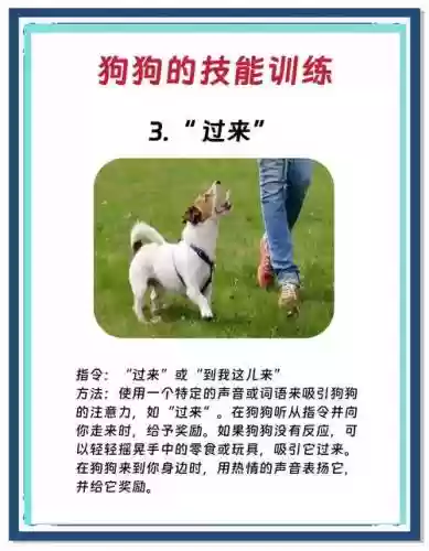 狗子攻略100%_1插图1
