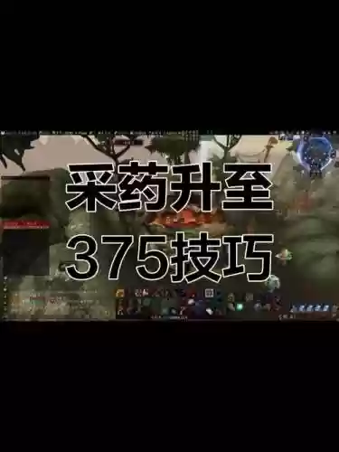1-375采矿采药攻略