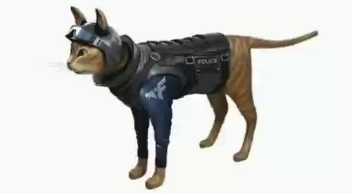 cf武器猫插图