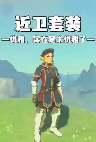 塞尔达装备满了插图1