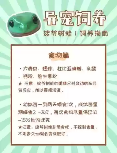 最近火的养蛙游戏攻略_2插图