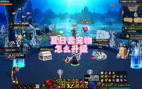 dnf夏日宠物怎么没装备插图1