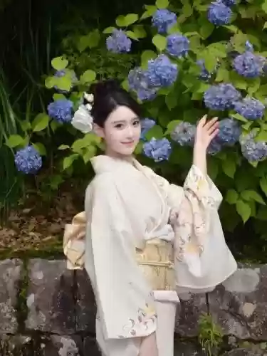 和服白阵容搭配_1
