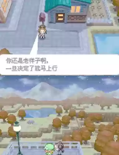 口袋妖怪黑2冠军攻略_1插图1