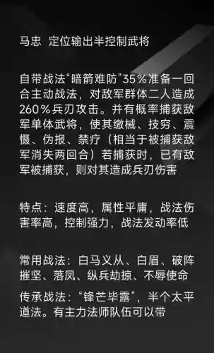 马忠搭配阵容_1插图1