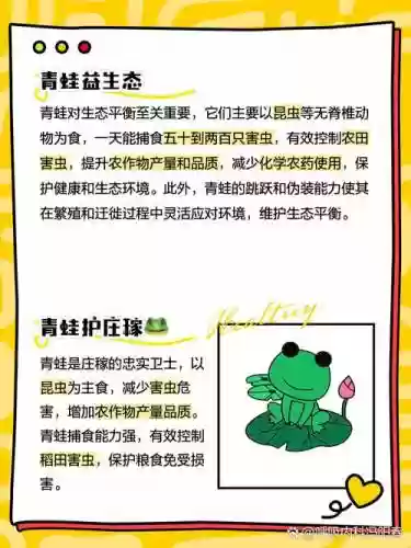 青娃技能插图