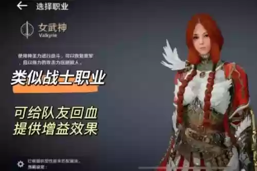 黑色沙漠阵容搭配推荐，黑色沙漠 配装插图