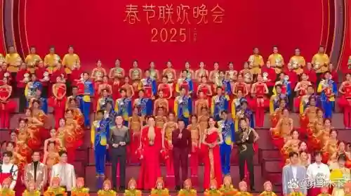 最好的联欢晚会阵容搭配，联欢晚会都有谁插图1