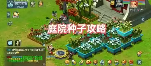 梦幻西游房子的植物怎么更换，梦幻房子种植物插图
