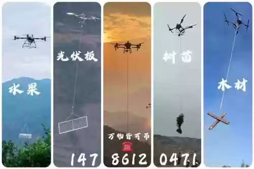 吊飞机搭配什么阵容，飞机吊挂插图1