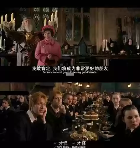 哈利波特阵容搭配新手攻略，哈利波特怎么搭配好看插图1