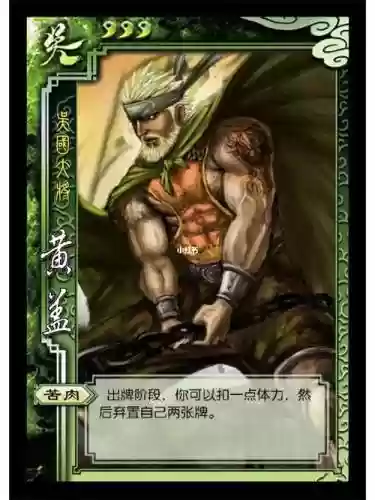 三国杀黄盖技能台词，三国杀黄盖受到伤害插图1