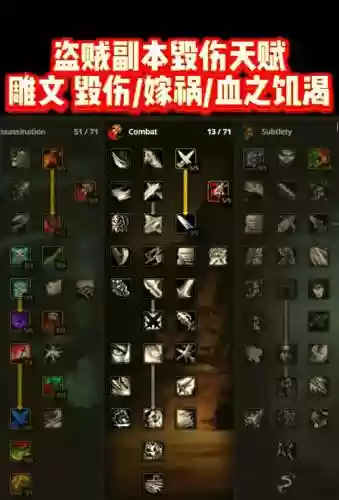 tbc刚到70的盗贼天赋和装备，70级盗贼天赋pve