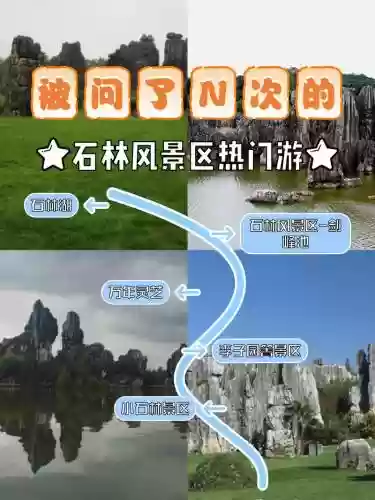 石林阵容搭配详解，石林参加的是什么战役插图1