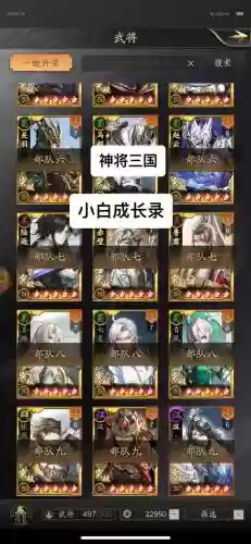 神将阵容搭配，神将怎么搭配插图1