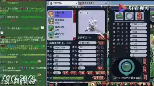 梦幻西游怎么鉴定宠物，梦幻西游怎么看宠物好坏插图