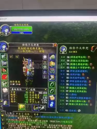 60年代制皮猎人装备，tbc猎人p1制皮装备插图1