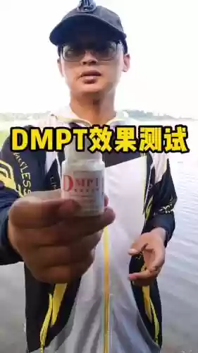 dmpt使用方法攻略，dmpt有没有用插图