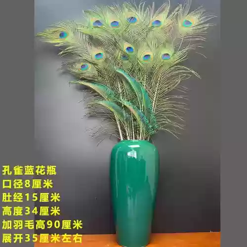 孔雀翎刷图阵容搭配推荐，孔雀翎干什么用插图