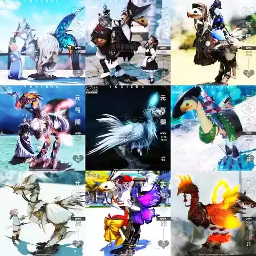 ff14陆行鸟装备在哪买，ff14陆行鸟套装插图1