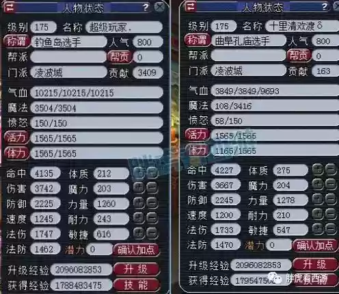 梦幻高等级物理阵容搭配，2020梦幻物理系哪个最强插图1