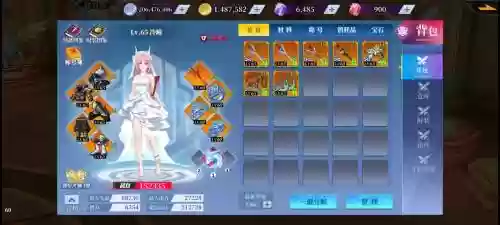 神陵武装护士搭配阵容，神陵武装哪个职业伤害高插图1