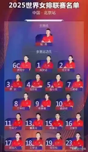 女排阵容搭配，女排阵容搭配最新插图