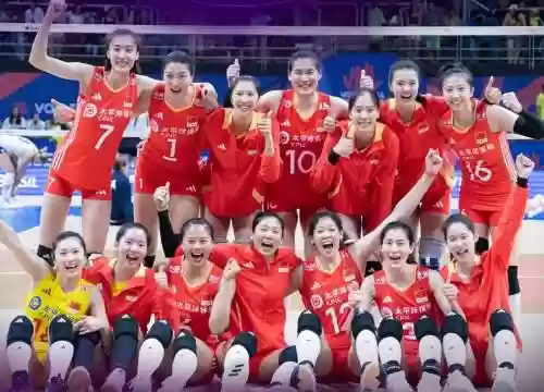 女排阵容搭配，女排阵容搭配最新插图1